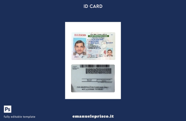 modello di carta d'identità USA Illinois stile verificato